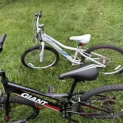 Bikes 
