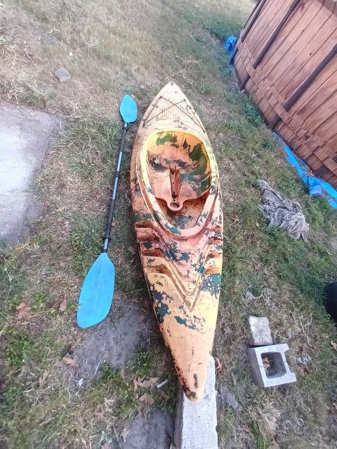 Kayak