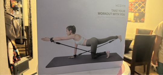 WeGym Portable Resistance Band Workout Kit