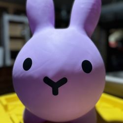 Fun Toddler Bouncy Toy