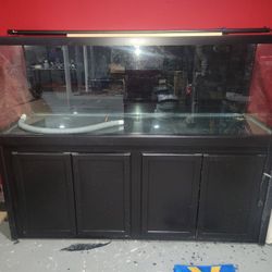 180 Gallon Aquarium