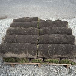 Sod ( 20) rolls