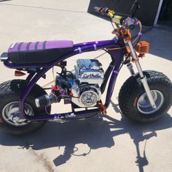 Bt200x Custom Minibike 