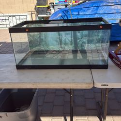 Fish Tank 