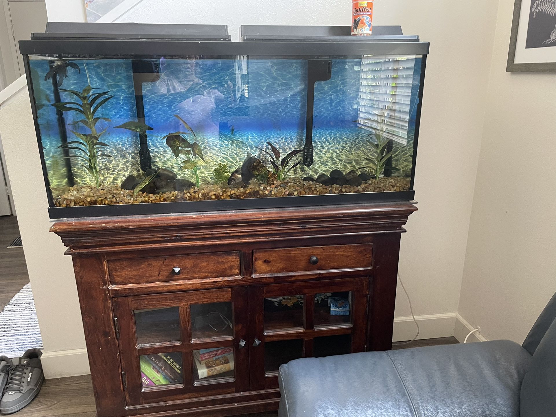 70 Gallon Aquarium And Cabinet