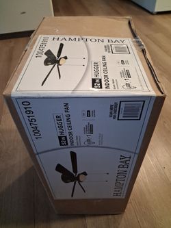 Ceiling fan
