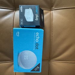 echo dot (smart plug included)