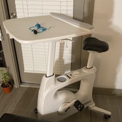 Bike Work Desk - Almost New 
