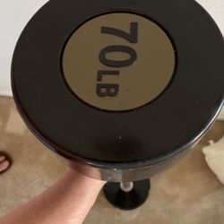 70lb Straight Barbell Golds Gym 