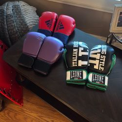Boxing/Muay Thai Gloves