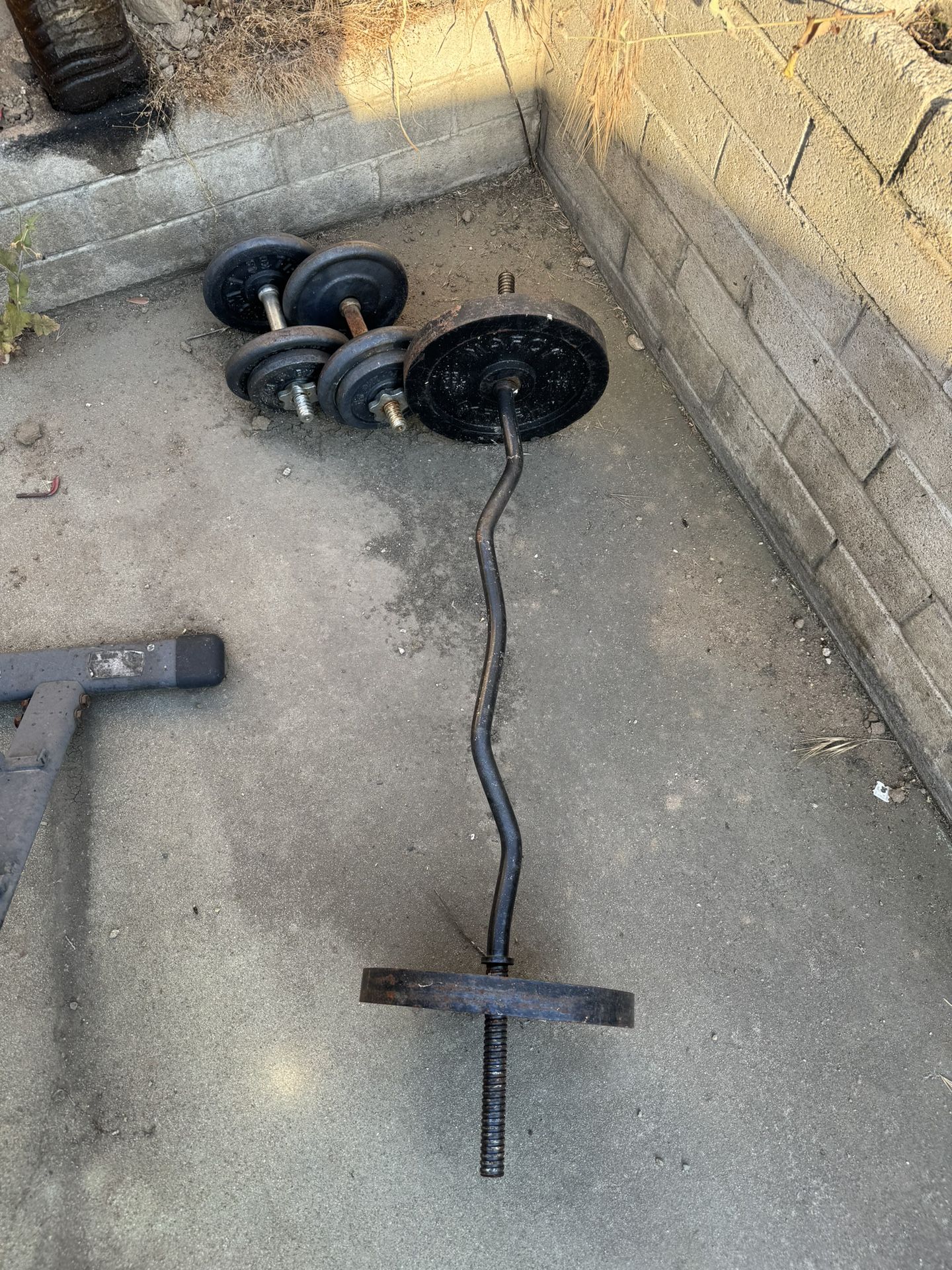 Weights and Benches *READ DESCRIPTION*