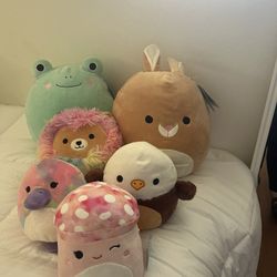 Squishmallows Like New With tags Still 