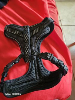 Dog Harness & Leash