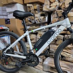 Electric Bike