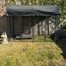 Outdoor Dog Kennel 