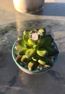 Sterling Silver Ring