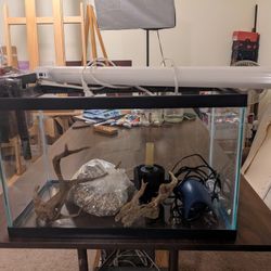 Fresh Water Aquarium Set Up