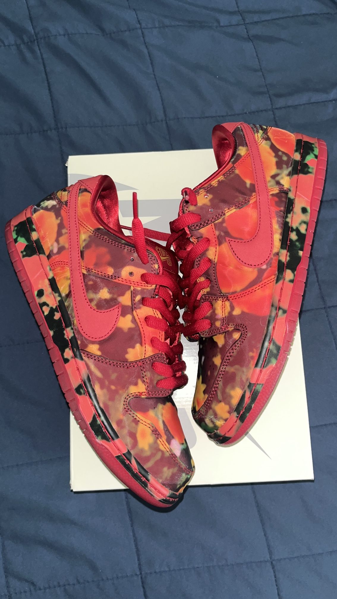 Nike Sb