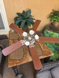 Ceiling Fan with Lights