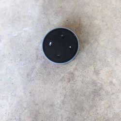 Amazon Echo Dot