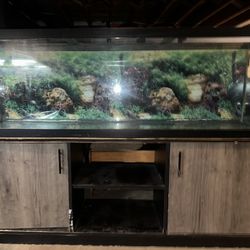 125 Gallon Tank + Stand