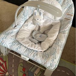 3 N 1 Baby To Toddler Chair 