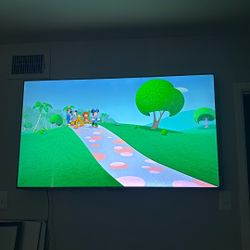 55 In tv