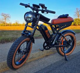isin whelk e bike