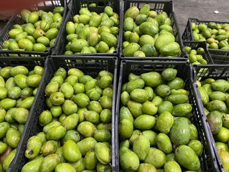 Mango verde $11 libra y nance $10
