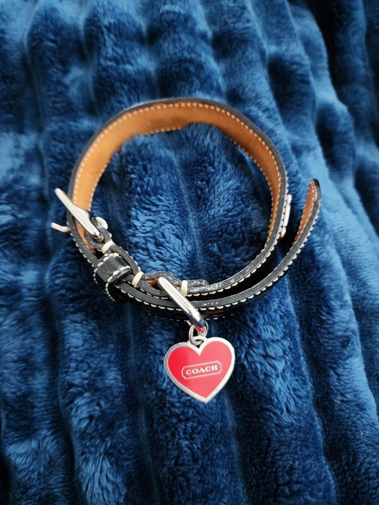 Coach Dog Collar