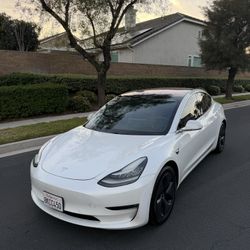2019 Tesla Model 3 Standard Range Plus