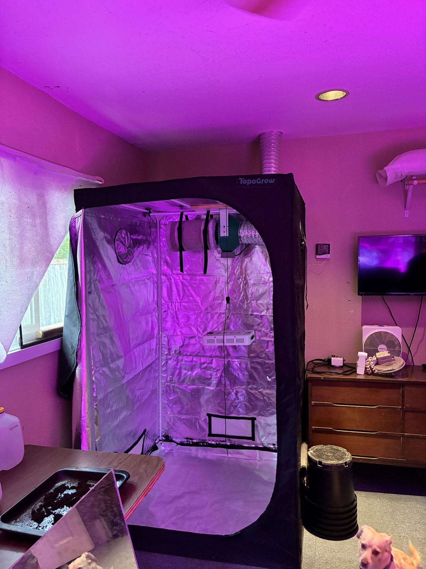 2- 4x4x80 Grow Tents