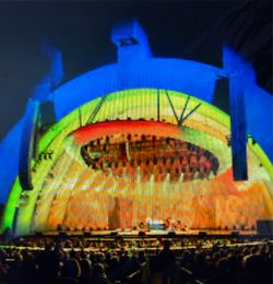 Counting crows at the Hollywood Bowl