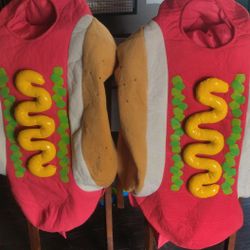 Two  Kids Hot Dog Costumes! The Kids Had So Much Fun With These!