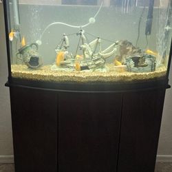 36 Gallon Aquarium & Stand