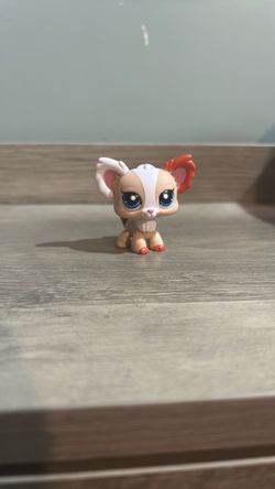 LPS Brown/White Chihuahua