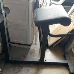 Roman Chair/hyperextension