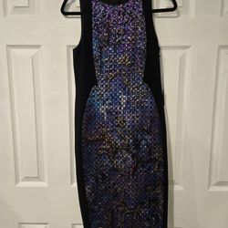 new Adrianna Papell Size 2 Iridescent Sheath Dress Sleeveless Zip Up Back Sequin