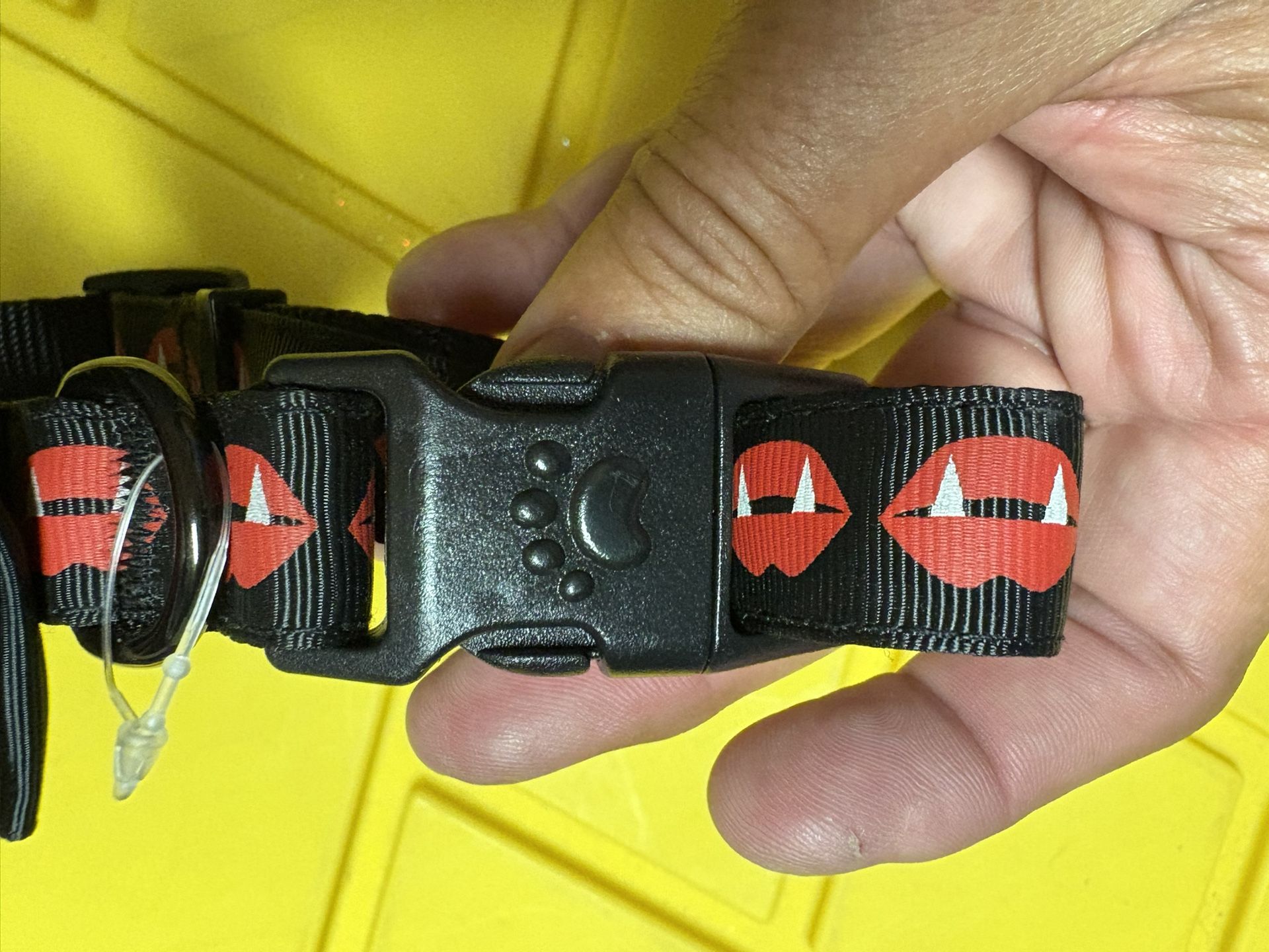 New, Medium Dog Collar
