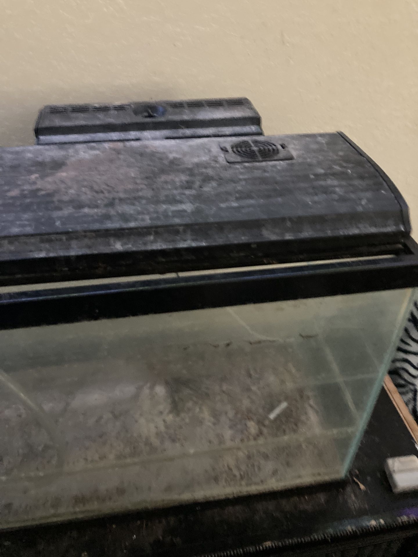 55 gallon fish tank