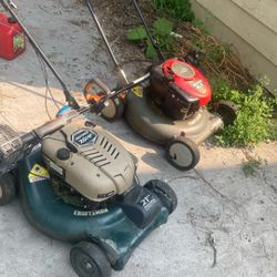 2lawn Mowers And Weed Wacker 
