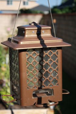 Armstrong’s Song Bird Feeder