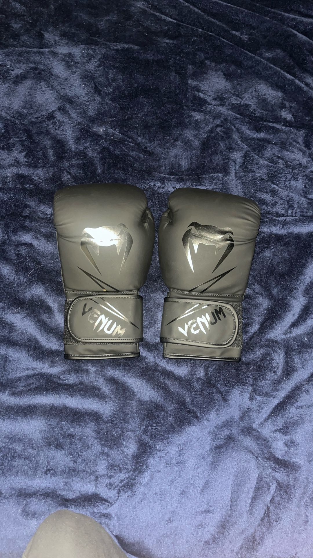 venum boxing gloves