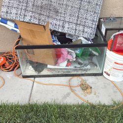 40 Gallon Breeder Aquarium