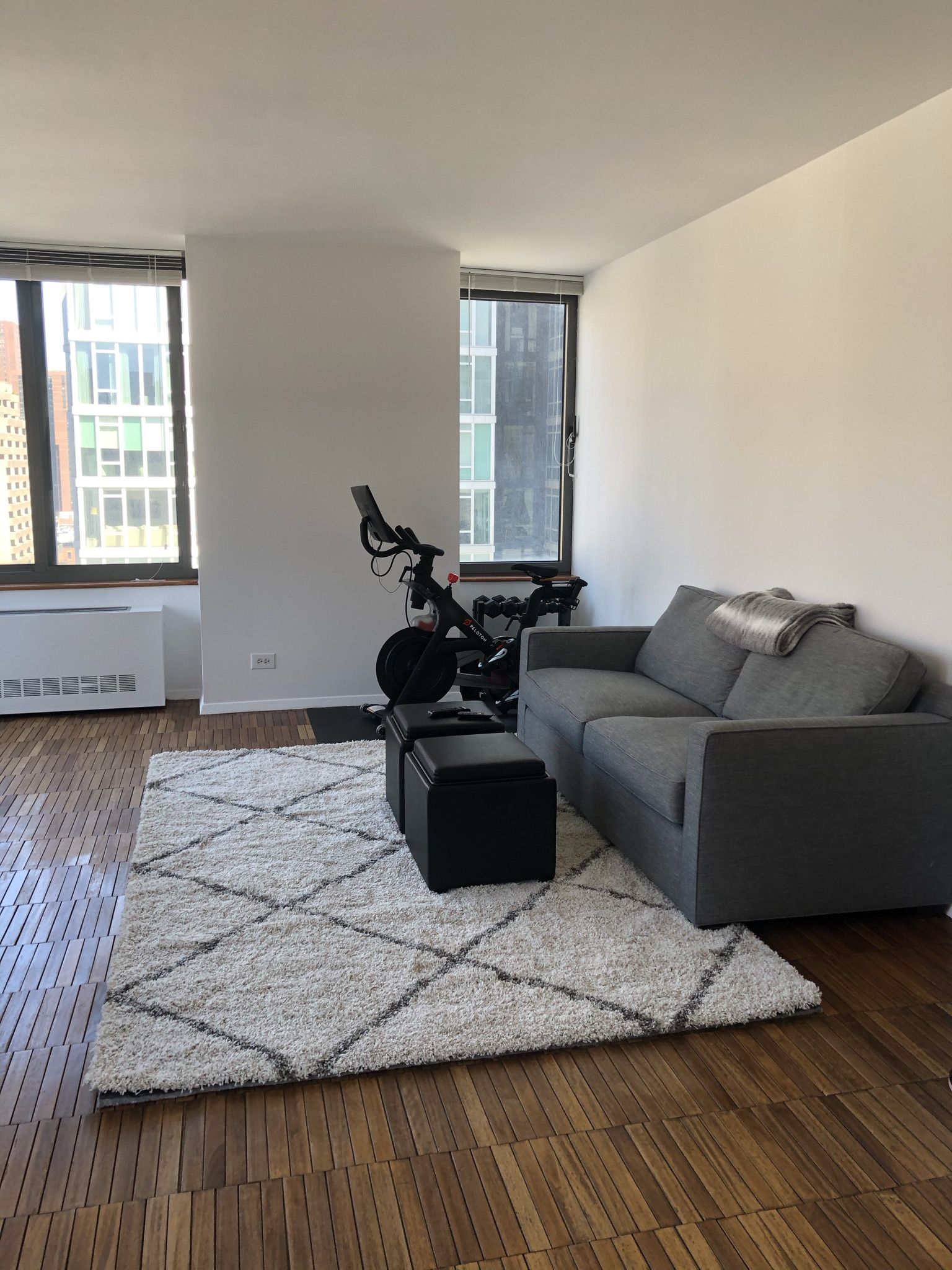 Ivory And Grey Rug With Rug Pad