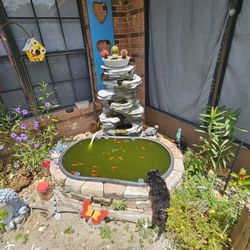 Fish Pond