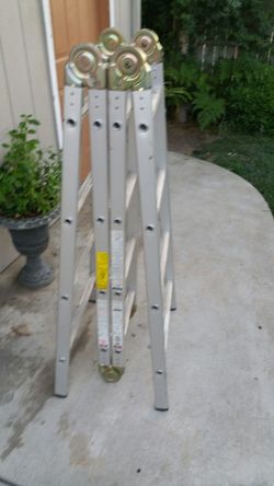 Folding ladder
