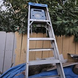 Ladder 8ft