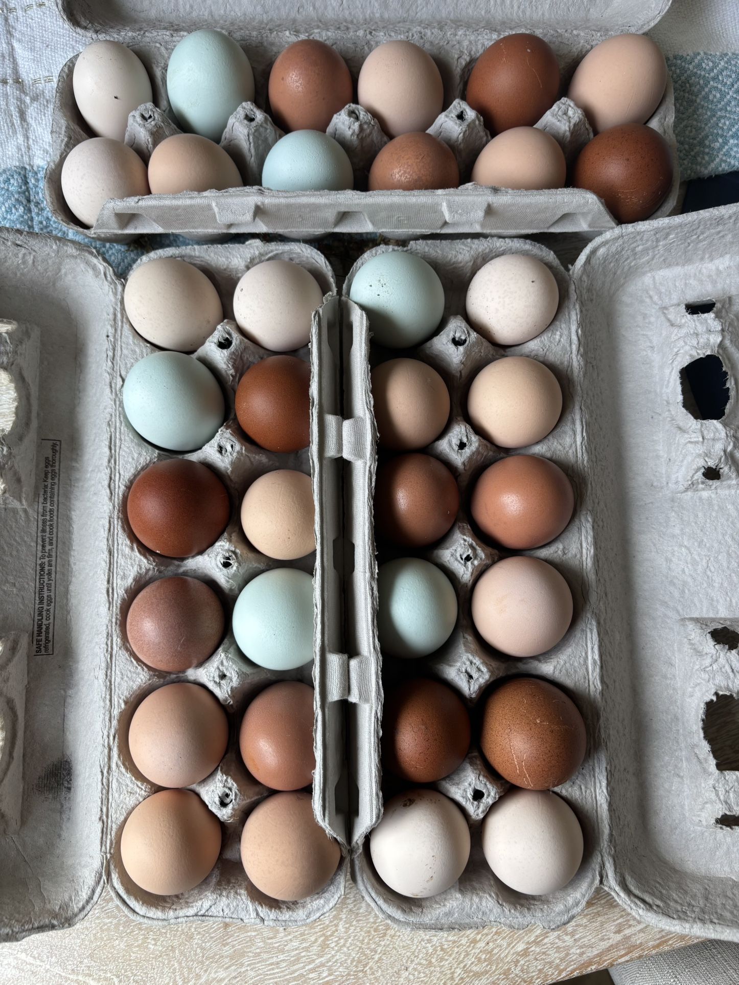Eggs from Happy Chickens