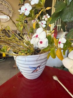 Plant